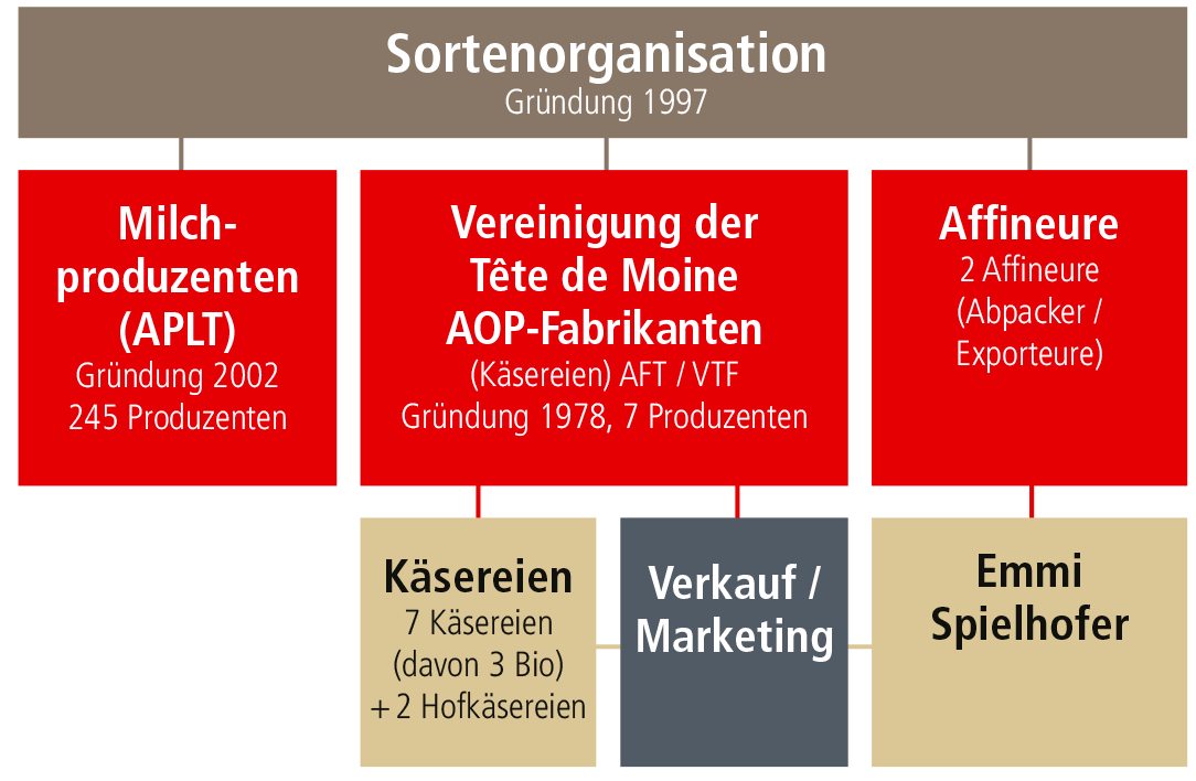 organigramme tdm de