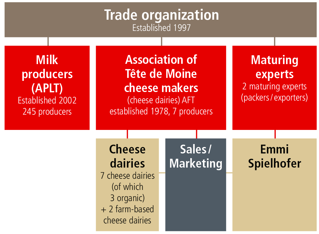 organigramme tdm